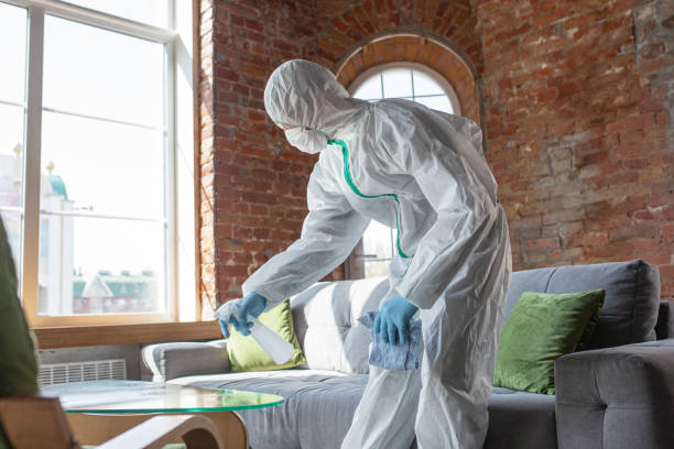 Why You Should Choose Our Mold Remediation Services in Navy Yard City, WA