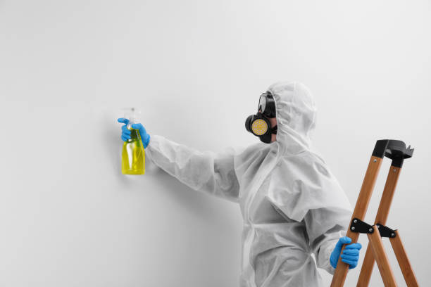 Best Mold Removal for HVAC Installations  in Navy Yard City, WA